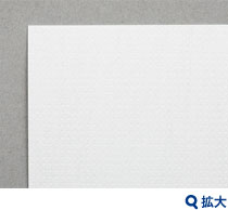 シータスペット写真
